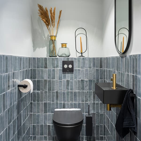 Zwart toilet